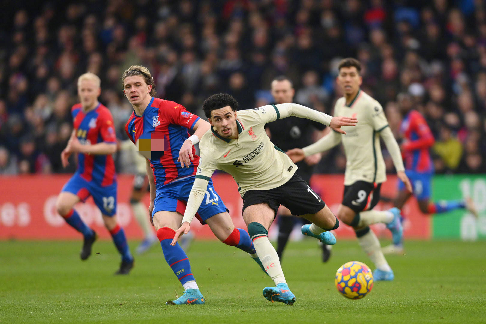 的重要角色 的重要角色